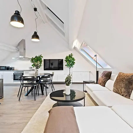 Apartament Charming 1br Loft In Ville-haute,