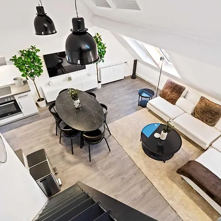 Apartament Charming 1br Loft In Ville-haute,